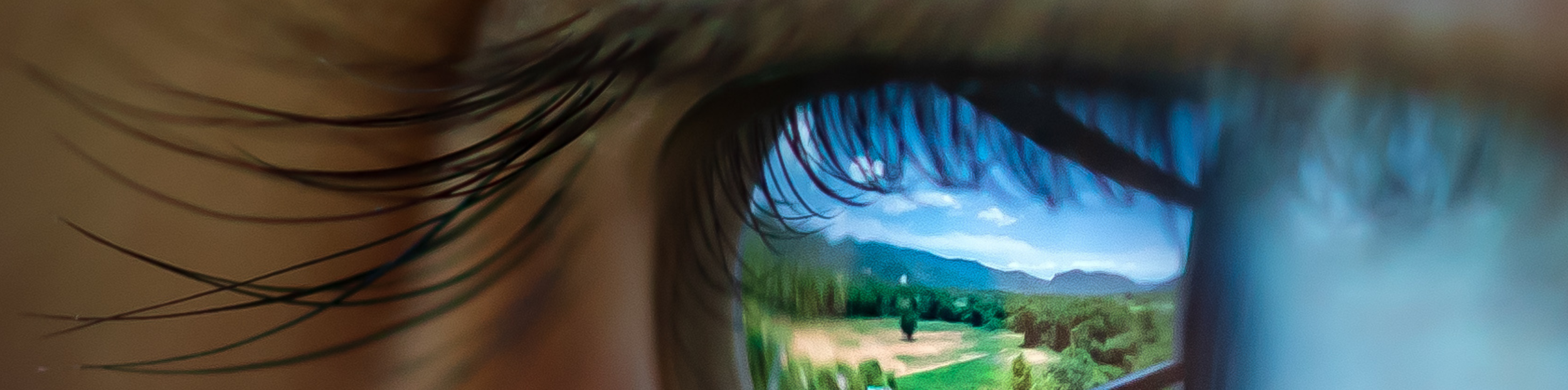 Únete a nosotros en este hermoso proyecto.